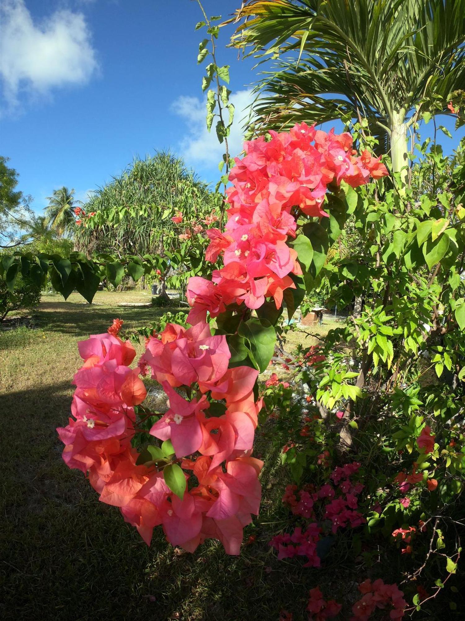 Moana Breeze Rangiroa - Rental Car Included - Air Conditioning - Wi-Fi Tiputa Luaran gambar